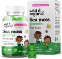 Wild & Organic Irish Sea Moss Gummy pre deti 800mg - Imunitná podpora s Bladderwrack - Vegan Sea Moss Gel Chews pre celkovú podporu - 60 Non-GMO Seamos Gel Gummies