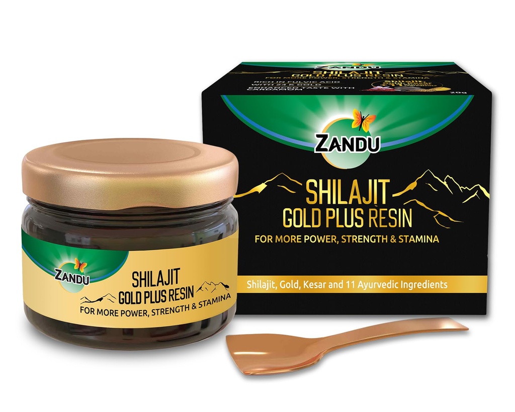 Zandu Himalayan Shilajit Resin 
