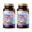 Solgar Kangavites, Bouncin