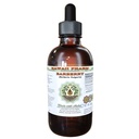 Barberry alkohol-FREE tekutý extrakt, organické Barberry (Berberis Vulgaris) sušené koreň kôra glycerit 2 oz