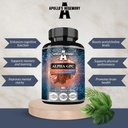 APOLLO'S HEGEMONY Alpha-GPC 600mg per Daily Dose - 90 Vegan Choline Kapsule - 99% Cholín Alfoscerate Dietary Supplement - Lipid Choline - Pamäť a koncentrácia Kapsule