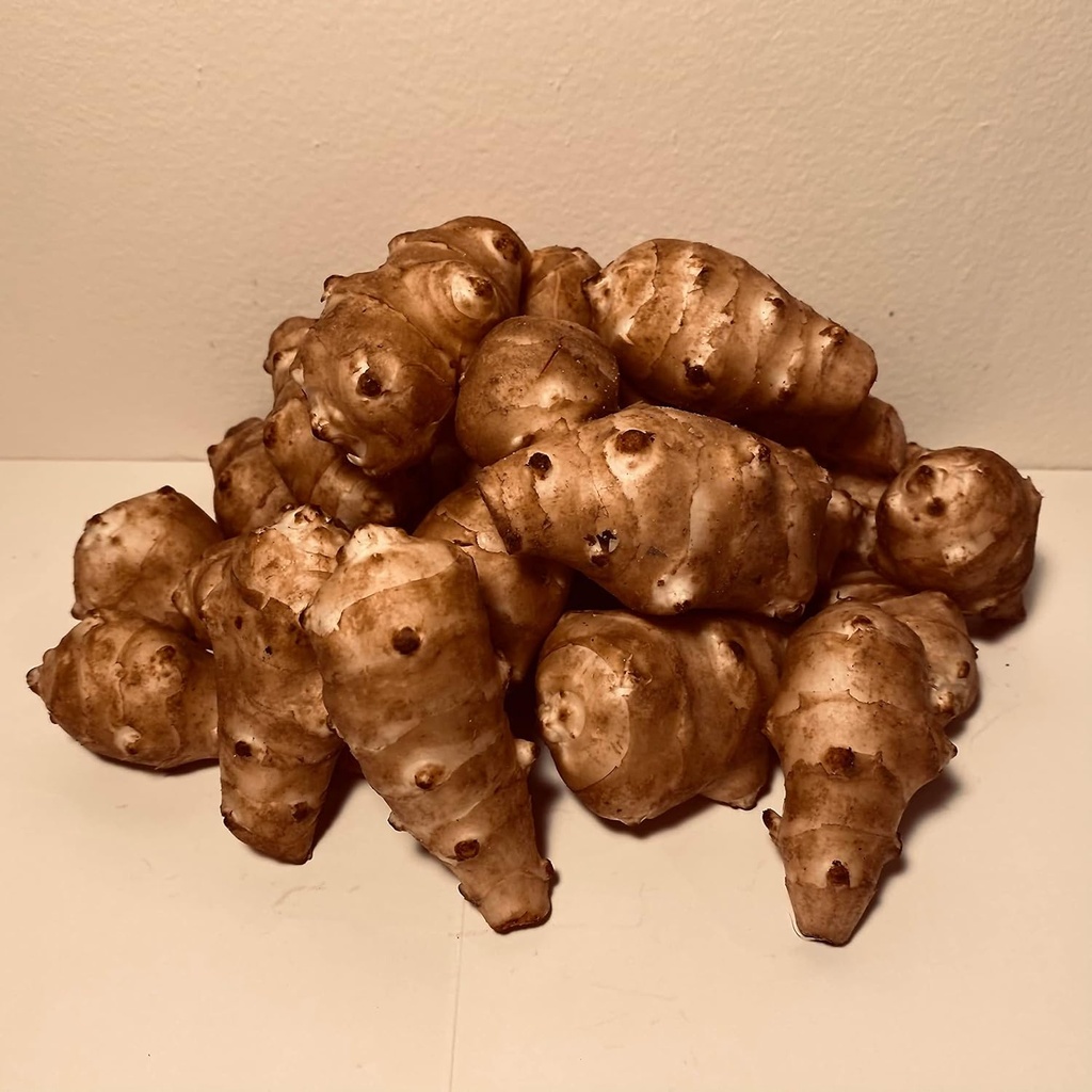 Sunchokes - 5 libier (5 libier) pre sadenie alebo jedenie FEDEX 2Day