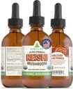 RawGuru Organic Reishi Mushroom Tinture - Reishi Mushroom Extract s prírodnými stopovými minerálmi - Nano-Processed Cognitive & Immune Suplement - 60 Servings of Vegan Drops per 60 ml, Balenie 1