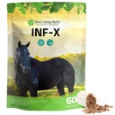 Silver Lining Herbs Equine INF-X - podporuje úľavu od stresu koní a zdravé hladiny dobrých baktérií - Prírodná podpora imunitného systému koní - Bylinný doplnok pre detoxikáciu koní - 1 lb