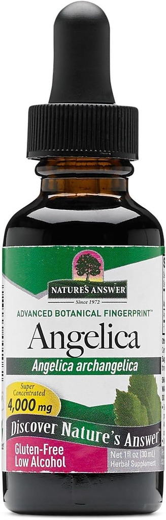 Prírodná odpoveď Angelica Root s organickým alkoholom, 1-Fluid Ounce