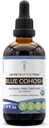Tajomstvá Tinktúry bez obsahu alkoholu Tribe Blue Cohosh (Glycerit) 659 mg Responsibly chovaný USDA Organic Blue Cohosh (Caulophyllum Thalictroides) Sušený koreň (4 Fl Oz) Ženský dodatok k zdraviu