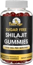 Sugar Free Shilajit Gummies (1000mg Serving)- Prírodné Himalájske organické Fulvová kyselina Shilajit doplnok pre mužov a ženy -60 Gumové žuvačky