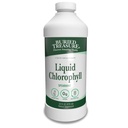 Pochovaný poklad Tekutý chlorofyl 100 mg, Dietary Supplement, Intestinálna trávivá podpora Prírodné telo Deodorant Vegan Non-GMO alkohol bez, Spearmint Flavor 32oz