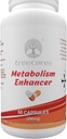 Metabolizmus En