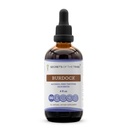 Tajomstvá Tinktúry Tribe Burdock v tekutom extrakte bez obsahu alkoholu, Burdock (Arctium Lappa) sušený koreň 4 FL OZ