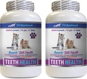 mačka Bad Breath Treats - CAT Teeth Health - Advanced Mouth Health Complex - Immune Boost - Vitamín b12 pre mačky - 2 fľaše (120 tabliet)