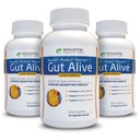 Gut Alive - All Natural Support to Fight IBS, Pálenie záhy, Kyslé poruchy trávenia, Acid Reflux, Blaing & Gas. Unikátna formulácia (60 počet (Pack of 3))