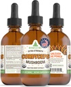RawGuru Cordyceps Mushroom Supplement - Vegan Cordyceps Extract s stopovými minerálmi - Nano-Processed Imunity Boost & Cognitive Supplement Tincture - 60 Servings of Vegan Drops per 60 ml, Balenie 1