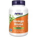 Teraz Foods Doplnky, Ginkgo Biloba 60 mg, 24% Štandardizovaný extrakt, Non-GMO Projekt Overené, 240 Veg Kapsule