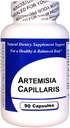 Artemisia Capillaris (90 kapsúl)-Koncentrovaný bylinný extrakt - Dietetické doplnok