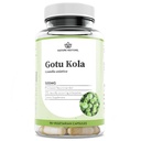 Nature Restore Gotu Kola Extract Supplement, Standardized to 10 Percent Triterpenes, vyrobené v USA, 90 Kapsule, Non GMO, Gluten Free, Vegan