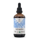 Astragalus USDA Organic Alcohol-Free Extract 