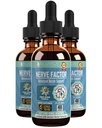 Rejuvica Health NerveFactor - Advanced Nerve Suplement Suplement - Liquid Delivery for Better Absorbtion - Acetyl-L-karnitín, Alpha Kyselina lipová, Vitamín B12, Kyselina listová, biela vŕbová kôra a ďalšie!