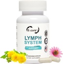Lymfatický systém doplnok - Lymfatický Drainage Supplement s extraktom Echinacea purourea, Púpavkový extrakt 60 Počet