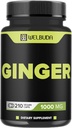 1000mg Ginger Supplements Kapsule s Berberine HCl, bazy, echinacea & More - 11in1 Support Digestion, Joint Health, Immune System, and Heart Health - 210 Ginger Pills