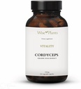 Cordyceps Mushroom Supplement. Duálny extrakt, 30% Polysacharidy, 500 mg 120 vegekaps (60-dňová zásoba). pre energetiku, vytrvalosť, obnovu a podporu vysokej nadmorskej výšky