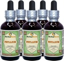 Psyllium (Plantago Ovata) Glycerit, organický sušený tekutý extrakt bez obsahu alkoholu (názov brand: bylinný terra, hrdo vyrobené v USA) 5x2 fl.oz (5x60 ml)