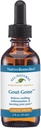 Native Remedies Gout-Gone - Prírodné homeopatické Formula pre kĺbový opuch, sčervenanie a nepohodlie DNA - 59 ml