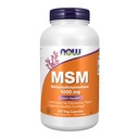 TERAZ POTRAVINY M.S.M 1000mg kapsuly, 240 CT