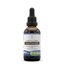 Tajomstvá tekutého extraktu bez obsahu alkoholu Tribe Shatavari, Shatavari (Asparagus Racemosus) Sušený koreň (2 FL OZ)