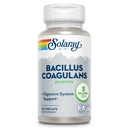 SOLARAY Bacillus Coagulans Probiotic - 5 miliárd živých mikroorganizmov - Trávenie a podpora zdravia Gut - Zdravie Probiotiká s Inulin Prebiotické Fiber, 60-dňová záruka, 30 Serv, 60 VegCaps
