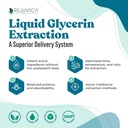 NerveFactor - Advanced Nerve Suplement - Liquid Delivery for Better Absorbtion - Acetyl-L-karnitín, Alpha Lipoic Acid, Vitamín B12, Kyselina listová, biela vŕbová kôra a ďalšie!