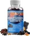 Shilajit Gummies, Shilajit, Resin, s 85+ Stopové minerály, kyselina fulvová, Phytonutrienty, vitamín C, D, B12, Ashwagandha, Chaga Mushroom, Turmerica, pre energiu, Imunitná podpora