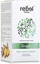 Rebel Bylinné zázvorové kapsule Výkonná duálna extrakcia, non-GMO, bezlepkové, koreň zázvoru (Rhizome) extrakt