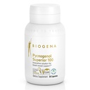 Biogena Pycnogenol 100 mg Gold with Premium Patented French Maritime Pine Bark Extract (Pinus Pinaster) na podporu cirkulácie krvi
