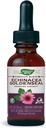 Nature's Way Premium Formula Echinacea-Goldenseal, 250 mg per porcie, 99,9% bez alkoholu, 1,01 Oz.
