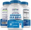 Organické Sea Kelp (Islandic) vylepšený - Čistá zdravá Podpora štítnej žľazy Prírodné jódové doplnok w/Organic Sea Kelp, modrozelená riasa a červená riasa - Imunitný systém a metabolická podpora - 90 Kapsule