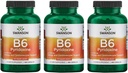 Swanson B6 Pyridoxín - Vitamínové doplnky podporujúce kardiovaskulárne zdravie a energetický metabolizmus - prírodná formula podporujúce celkový wellness - (250 kapsúl, 100 mg každý) 3 balenie