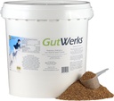Horsetech GutWerks (10 libier)