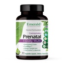 Emerald Labs prenatálne 1-Denný multi - prenatálny multivitamín s metylom folátom, železom, celým potravinárskym mixom a viac - bez sóje, bez lepku - 30 rastlinných kapsúl