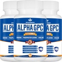 15- in-1 Alpha GPC Supplement with Fosfatidylserin, Uridín, L-Theanine, Lion's Mane Mushrom, 180 Kapsule