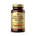 Solgar Psyllium Husky Fiber 500 mg - 200 Rastlinné kapsule - Non-GMO, Vegan, Gluten Free, Dairy Free, Kosher - 100 Servings