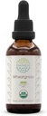 HerbEra Wheatgrass B60 USDA Organic Tincture 