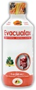 Senna Liquid Laxatívum pre dospelých a deti - papája aróma, prírodné Senna Leaf & Prune - Stool Solener pre zápcha Relief - Bylinný sirup na podporu Bowel, Tráviace čistenie - 8oz