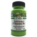 Denná výroba Aktivovaný vitamín B6