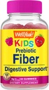 WellYeah Prebiotické Fiber Gummy pre deti - Podpora tráviaceho systému, Doporučené lekár - Vegan Friendly and Gluten-free, GMO Free - Yummy Berry Flavors - 60 Počet