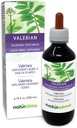Naturalma Valerian (Valariana officinalis) Root Alkohol-Free Tinture - 6.76 fl oz Liquid Extract in Drops - Bylinné doplnky - Vegan