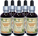 Queen's Root (Stillingia Sylvatica) Tinktúra, Sušené korene tekutého extraktu (brand name: HerbalTerra, hrdo vyrobené v USA) 5x2 fl.oz (5x60 ml)