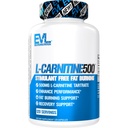 EVL L-karnitín doplnok pre podporu chudnutie - L karnitínu pre celulárna energia Focus Vytrvalosť a spaľovanie tukov podpora - stimulant Free Amino Acid for Fat Metabolizmus (120 Serviv)