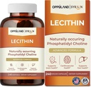 Lecitin-240 Softgels-Podpory Zdravie mozgu