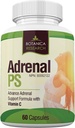 Adrenal Únava Podpora Supplement with Premium Rhodiola Rosea Herb Extract, L-Tyrosine, Panax Ginseng, Holy Basil - PS Cortisol Gland Complex for Health Insuficiency Calm Energy Response